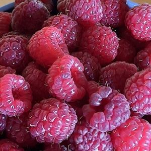 Meet your Posher, Paige